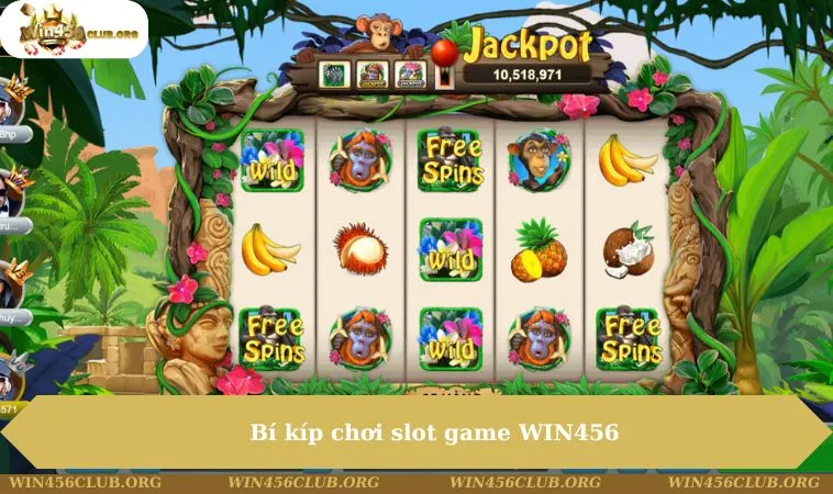 Nổ Hũ WIN456 248 Bí kíp chơi slot game WIN456