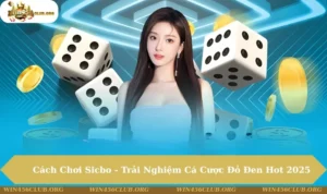 Cách Chơi Sicbo
