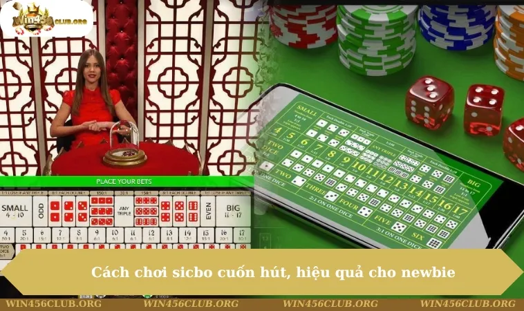 Cách Chơi Sicbo - Trải Nghiệm Cá Cược Đỏ Đen Hot 2025 213 Cách chơi sicbo cuốn hút, hiệu quả cho newbie