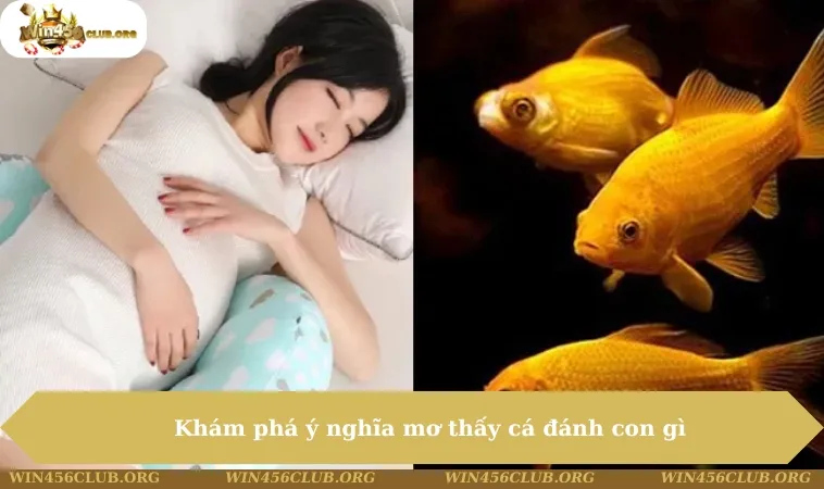 Mơ Thấy Cá Đánh Con Gì - Ý Nghĩa Và Điềm Báo Có 1 0 2 169 Khám phá ý nghĩa mơ thấy cá đánh con gì