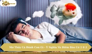 Mơ thấy cá đánh con gì