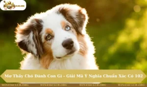 Mơ thấy chó đánh con gì