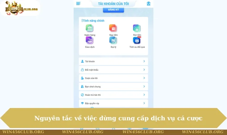 Điều Khoản Sử Dụng WIN456 117 Nguyên tắc về việc dừng cung cấp dịch vụ cá cược