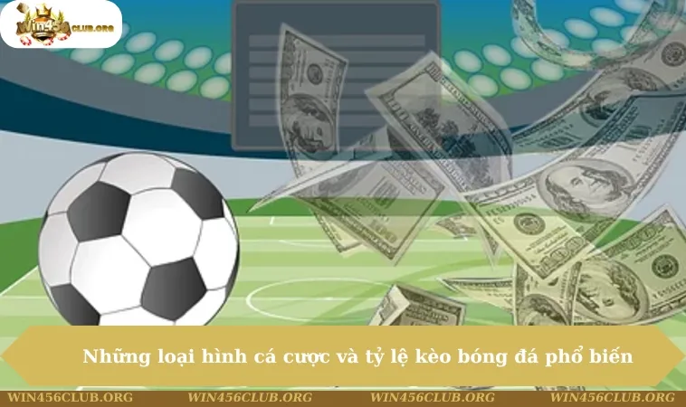 Các Tỷ Lệ Kèo Trong Bóng Đá Chi Tiết Và Hấp Dẫn Nhất 2025 191 Những loại hình cá cược và tỷ lệ kèo bóng đá phổ biến